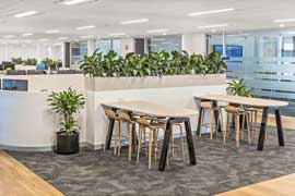Office plant dividers