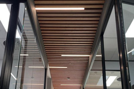 Slatted timber office ceiling